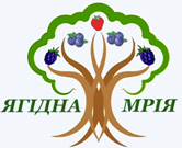 Ягідна мрія пропонує свіжі ягоди за низькими цінами в Україні